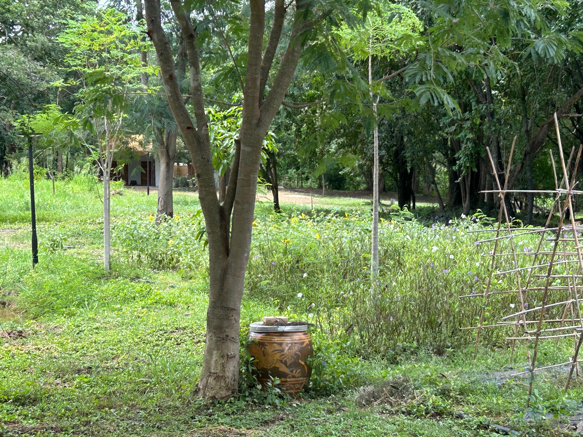 The farm gently growing