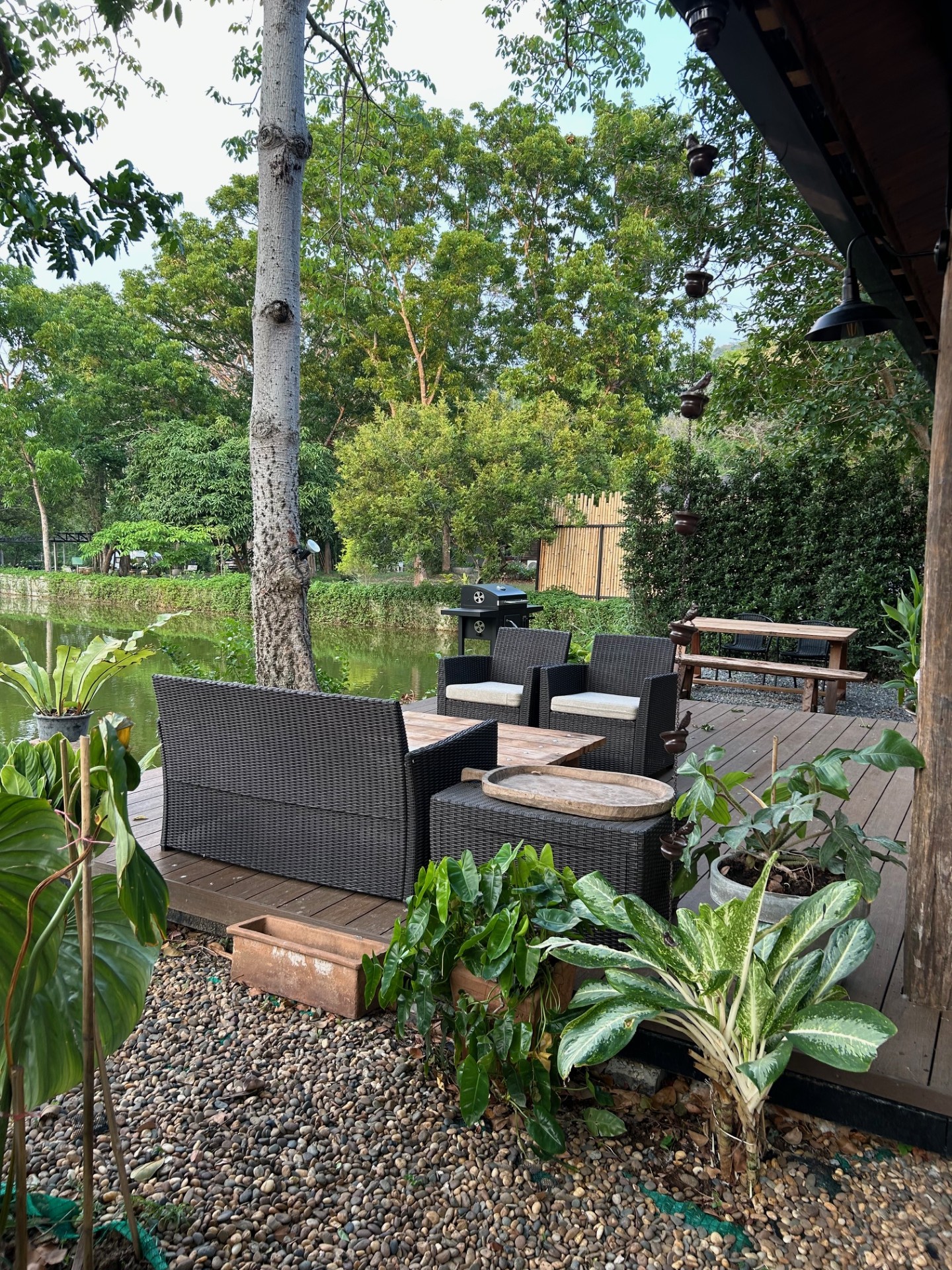 Dinner on the estate